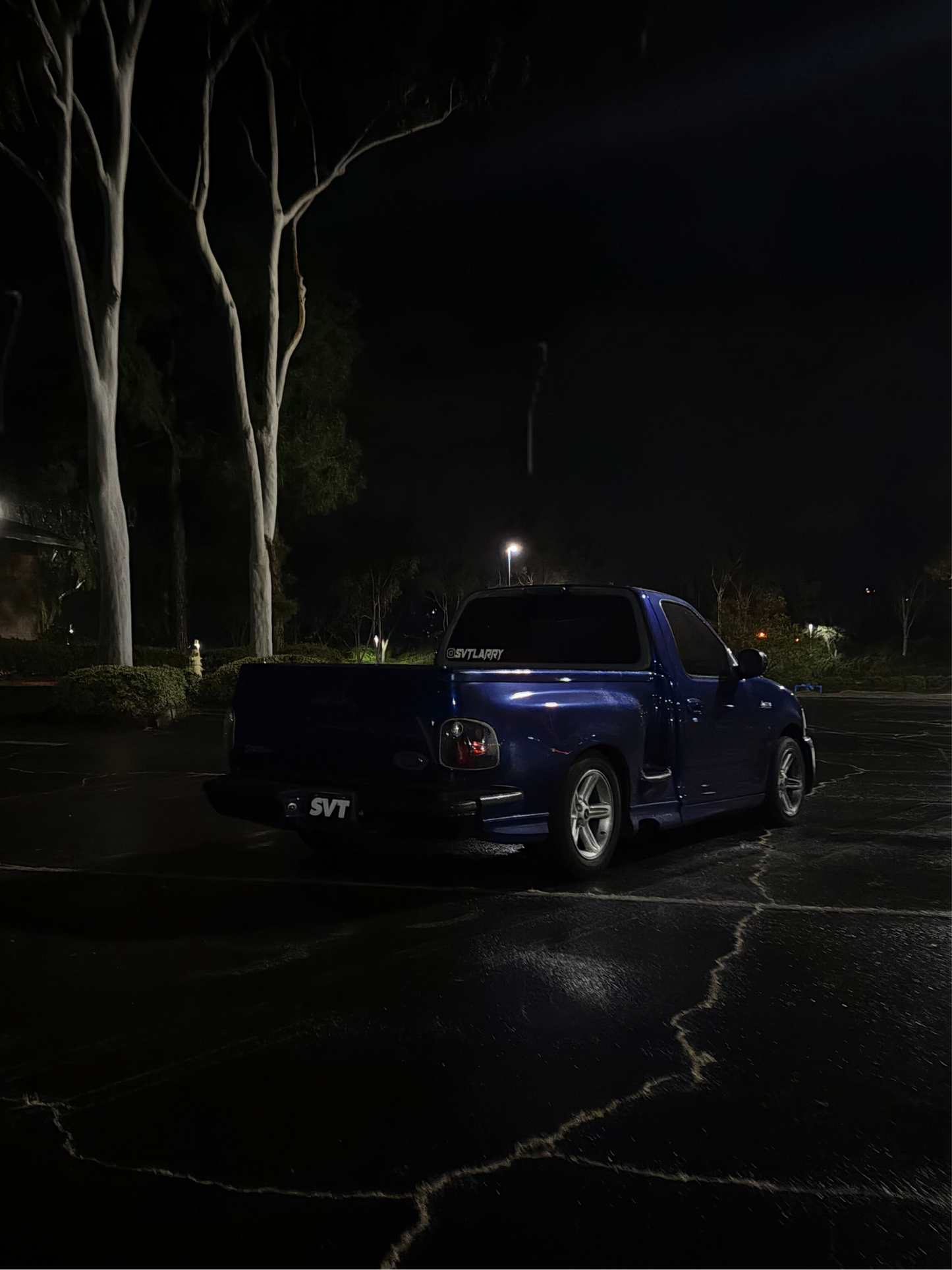 SVT License Plate